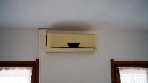 Welcomely - Corallo Blu img8