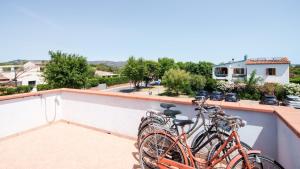 Welcomely - Corallo Blu img26