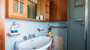 Welcomely - Corallo Blu img28