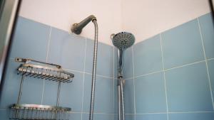 Welcomely - Corallo Blu img31