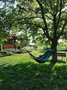 Apartament Wiejski w Siedlisku pod Orzechem