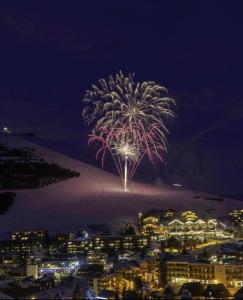 Studio Vieil Alpe avec vue et garage privé