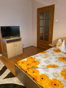 Apartament Darya