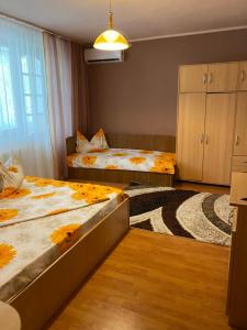 Apartament Darya