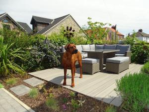 3 double bed house with parking in Sheringham - 4hvězdičkové hotely ve městě Sheringham