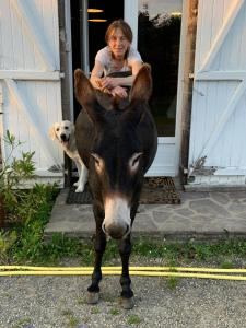 B&B / Chambres d'hotes Decouverte d'un Haras proche du Mont St Michel : photos des chambres