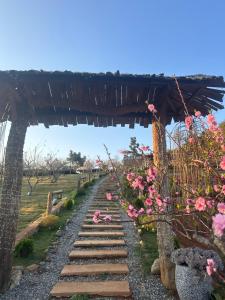 Green farm home & coffee