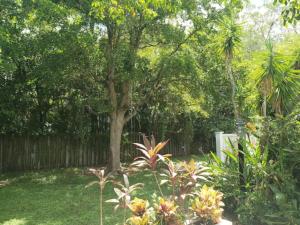 Apts with Backyard Near Fort Lauderdale Beach, Nightlife, Cruise Port, Airport