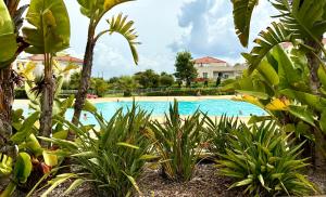 Beachside Apartment with Pool & Garden in Juan les Pins