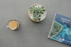 The Mulberry Tree Villa