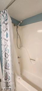 Oceanfront Efficiency T1106