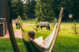 NEILA - Virš Ąžuolų - Forest SPA - FREE jacuzzi