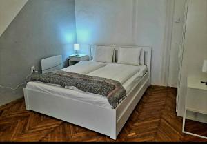 Csanády fabulous apartment