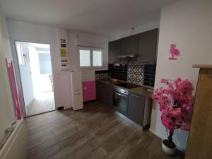 maison pink flamingo aeroport tillé 2 a 4 personnes