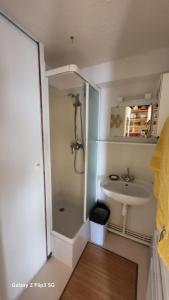 Appartements Grandes Pistes 302 : photos des chambres