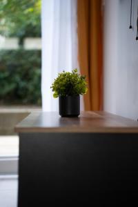 Appartements Le Bathalzar : photos des chambres