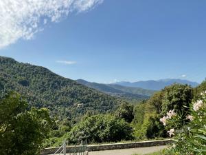 Hotels Hotel U Liccedu : photos des chambres
