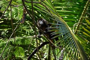 Milla La María North Santa Teresa Beachside Villa