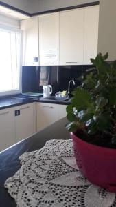 Isabels penthouse overlooking the city