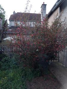 Gite meublé 6 personnes 2 étoiles Haute Cote dor Proche des merveilles touristiques