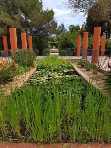 Appartement terrasse piscine et accès plage