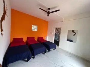 SFS farmhouse - Krishnagiri