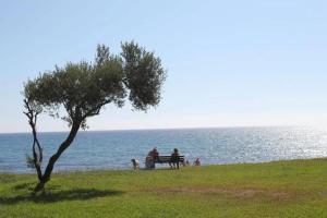 Studio charmant à Cervione avec piscine partagée - 30 m²