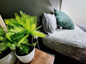 Upspot Kuching Waterfront Premium Hostel