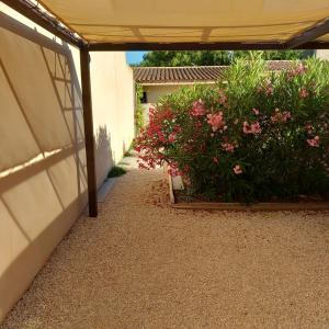 Appartements Gite Le Jasmin : photos des chambres