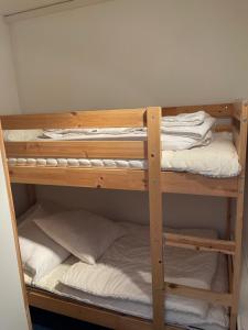 Appartements Appartement Pla d-Adet Saint Lary : photos des chambres