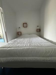 Appartements Appartement Pla d-Adet Saint Lary : photos des chambres