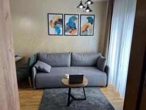 Apartman A79 Zlatibor