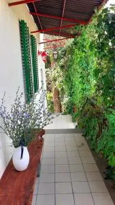 Casa al Vantaggio - Morrano