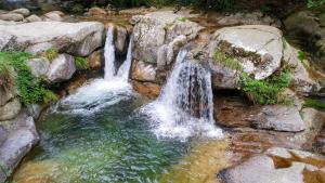 B&B / Chambres d'hotes A Bella Scusa : photos des chambres