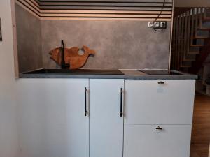 T1 Duplex avec filet detente