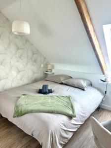 Maisons de vacances Residence vallee de l-Aulne : photos des chambres