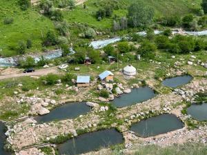 FOREL FISH GUEST HOUSe