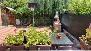 Casa de vacanță Iulian