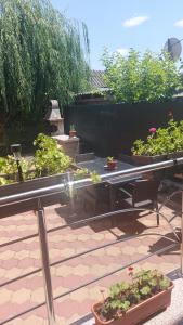 Casa de vacanță Iulian