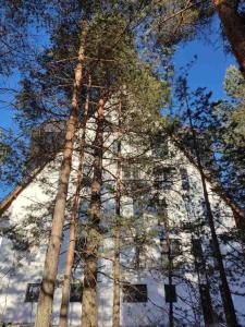 Studio Planinski san Divčibare