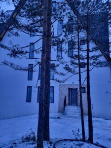 Studio Planinski san Divčibare