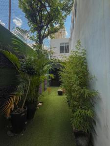 Casa palmera
