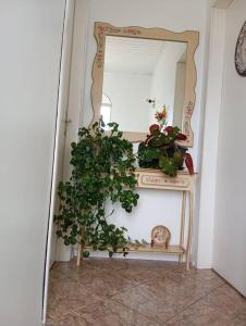 Hospedaria Querencia