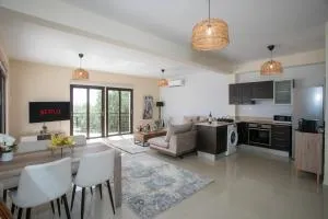 Palmove Tersefanou Apt 201 - Kivisil