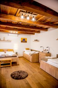 Orgona Vendégház Golop