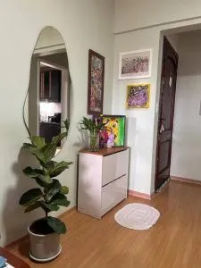 Apto no centro, arte e conforto - 沙佩科