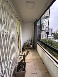 Apto no centro, arte e conforto