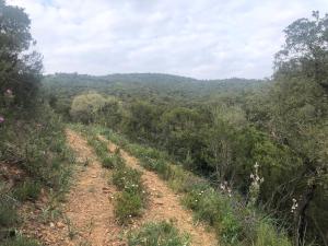 hebergement chez lhabitant Hyères Campagne