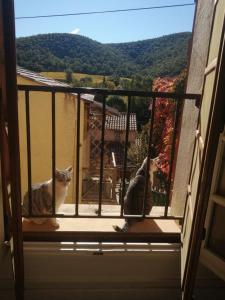 hebergement chez lhabitant Hyères Campagne