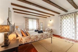 Villa Junceira - refúgio de luxo perto do Castelo